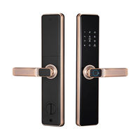 Kunci Pintu Pintar Biometrik Sidik Jari Taichen Tuya Wifi TTLock Tanpa Kunci Tahan Air Cerradura Inteligente untuk Rumah