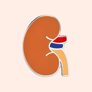 Spilli di smalto all'ingrosso di alta qualità organo umano dissezione medica in metallo Craft Badge smalto duro risvolto Pin rene per <span class=keywords><strong>medico</strong></span> - Product Image 1