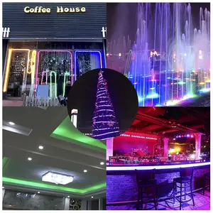 Tira de LED Flexible de silicona de neón redonda de 360 grados 240 LEDs/M DC 24V IP65 luces de Color azul para iluminación de tira interior y exterior