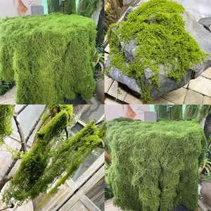 Vente en Gros Usine Tissu <span class=keywords><strong>Mousse</strong></span> Artificielle Cheveux Blancs, Gazon Filamenteux, <span class=keywords><strong>Fleurs</strong></span> & Plantes Décoratives Ne Perdent Pas Leurs Poils et Ne Se Fanent Pas - Product Image 3