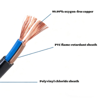 RVVB 2-adriges, mehradriges Kupfer-Rundkabel mit PVC-Ummantelung, flexibel, IP65, 70°C, für Bergbauanwendungen, 300/500V Stromkabel
