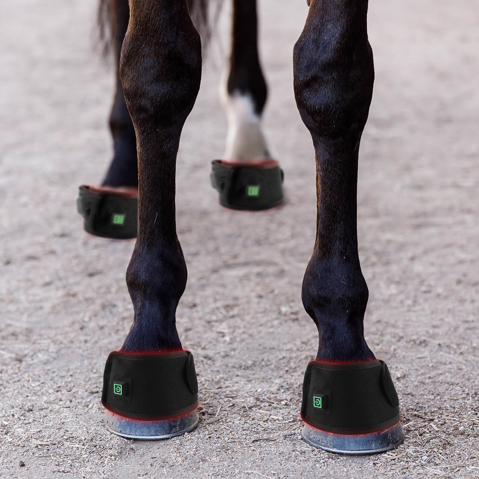 How to Choose the Best Protective Tendon Boots for Horses: A Complete ...