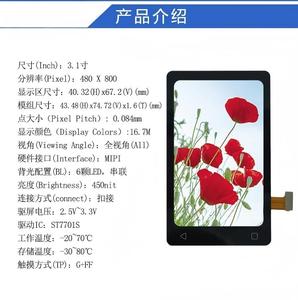 3.1" IPS TFT with TP,480X800 Resolution,MIPI Interface, Driver IC ST7701S,ALL VIEW,450 Brightness,16.7M ,<b>Security</b> <b>equipment</b> - Product Image 1