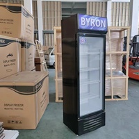 Congélateur vertical de 300L avec porte vitrée pour boissons, réfrigérateur à bière, vitrine réfrigérée pour hôtel, maison, magasin