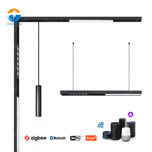 Sản Phẩm Mới Đèn Theo Dõi Bề Mặt Chìm Pendant Spotlight Nam Châm Theo Dõi Hệ Thống Ánh Sáng 48V Focus Magnetic LED Ánh Sáng Theo Dõi - Product Image 3