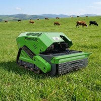 Tondeuse à gazon robotisée SK RC à chenilles de 800 mm, moteur essence 4 temps 18 CV, pour pentes raides et vergers, vente directe usine