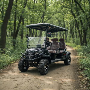 Voiturette de golf à faible consommation d'énergie et silencieuse pour l'entretien des parcs et des jardins - Product Image 6