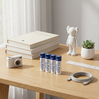 Piles rechargeables Ni-Zn AA 1,6 V 2000 mWh avec USB intégré, kit de 4 pièces pour équipement d'urgence
