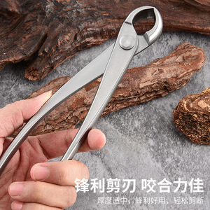 Alicates para articulaciones esféricas de 21 cm, de acero inoxidable, de precisión, para podar bonsáis, herramientas de jardinería y paisajismo - Product Image 2