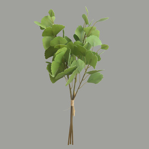 Decoración Floral <span class=keywords><strong>de</strong></span> lujo ligero, arreglo floral para sala <span class=keywords><strong>de</strong></span> estar, simulación <span class=keywords><strong>de</strong></span> flores <span class=keywords><strong>secas</strong></span>, agrupamiento <span class=keywords><strong>de</strong></span> cuatro hojas <span class=keywords><strong>de</strong></span> Ginkgo - Product Image 6