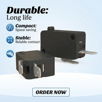 Micro-interrupteur DEWO avec 2 broches -25t125 250v 16a pour petits appareils électroménagers