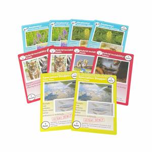 Tarjetas de Memoria Educativas Personalizadas de Tamaño Jumbo para el Aprendizaje de la Clasificación <span class=keywords><strong>General</strong></span> de Especies para Niños Pequeños - Product Image 5