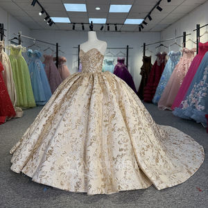 Robe de bal de luxe en mousseline Dy5995 pour Quinceañera, taille naturelle, appliques dorées brillantes, pour fête d'anniversaire formelle, traîne Watteau - Product Image 5
