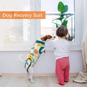 Gran oferta, pantalones fisiológicos para perros personalizados, convenientes pañales lavables menstruales reutilizables para perros de poliéster para recuperación quirúrgica sólida - Product Image 6