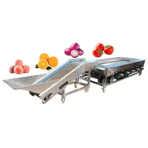 Línea automática de procesamiento de jarabe de jugo de azufaifo y dátiles, clasificador de manzanas, clasificadora de verduras, máquina clasificadora para patatas