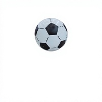 Ballon de football gonflable pour jeux de plein air, jeux aquatiques d'été, événements scolaires, divertissement et fitness, emballage en boîte blanche