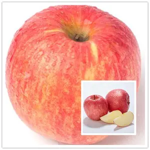 Nuovo raccolto di mele/mela verde/mela di Gala