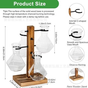 Soporte creativo de madera y vidrio para plantas pothos, macetas de vidrio con múltiples orificios, decoración de escritorio. - Product Image 3