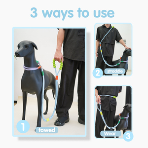 HanYang OEM correa de perro de cuerda personalizada fuerte correa de perro corta de nailon con cómodo mango acolchado correa de tráfico para caminar - Product Image 6