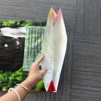 Sac tissé en PP laminé BOPP imprimé sur mesure de 25 kg, facile à ouvrir, pour l'emballage des granulés d'aliments pour veaux, bovins et animaux d'élevage