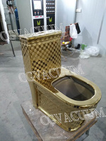 Mesin Pelapis Keramik PVD CGVAC dengan Pompa dan Kontrol PLC untuk Pelapisan Otomatis Toilet dan Perawatan Permukaan Plasma