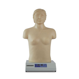 Simulateur informatique de palpation et d'auscultation cardio-pulmonaire, modèle d'auscultation cardio-pulmonaire féminin, formation clinique - Product Image 3