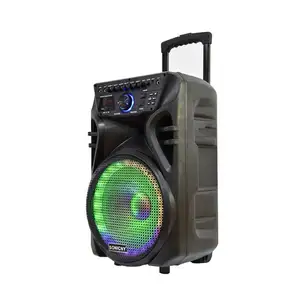 Audio Party Box Speaker Trolley Double 8 pollici Blue-Tooth Private Tooling portatile con altoparlanti microfono Karaoke Yoco