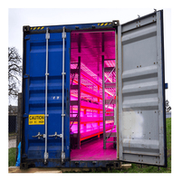 Système de culture hydroponique vertical Sinok Container Farm pour la laitue et les légumes à feuilles vertes, conteneur hydroponique NFT, conteneur pour micro-légumes