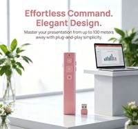 Présentateur sans fil avec pointeur laser rouge, stylo de retournement de page, contrôle du volume, présentation PPT, USB 2.4GHz, télécommande pour PowerPoint, souris