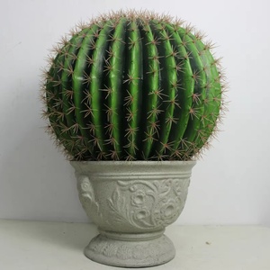 Offre Spéciale : Plante Artificielle <span class=keywords><strong>Cactus</strong></span> en Pot, Succulentes Hautement Réalistes, Bonsaï, <span class=keywords><strong>Prix</strong></span> Usine, Faux <span class=keywords><strong>Cactus</strong></span> pour Décoration Extérieure - Product Image 1