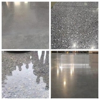 Disque de polissage diamanté sec/humide 3 pouces OEM Bolide CD-NM pour marbre, granit, béton, grain 50-3000