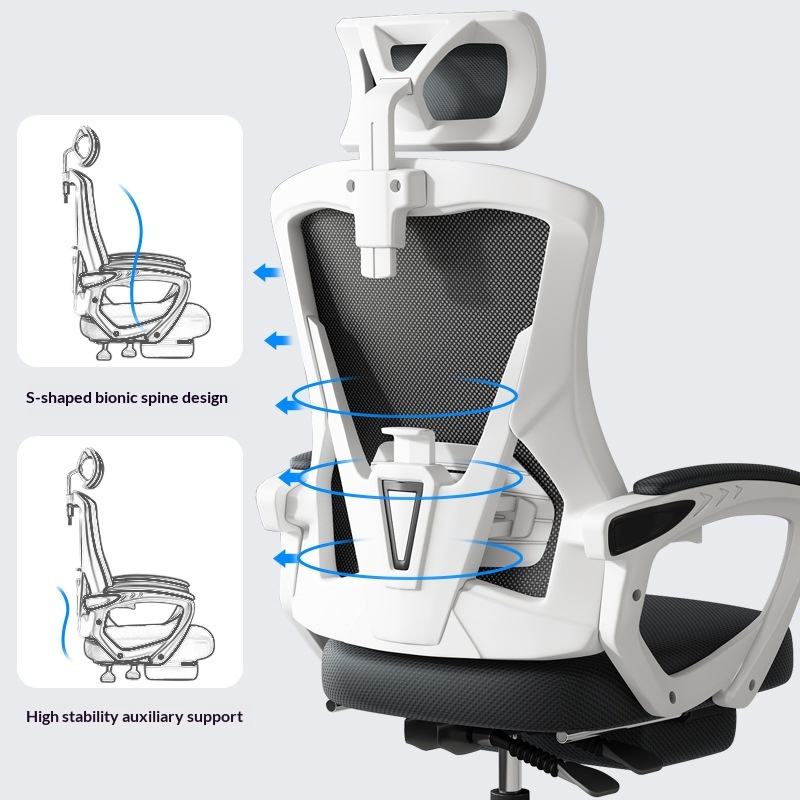 Ergonomic Mesh Executive Study Chair with Nylon Frame 5-Star Base ...