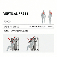 Machine de musculation verticale assise WENDY pour la musculation, équipement de fitness commercial pour la musculation