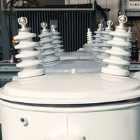 Transformadores de Media y Alta Tensión Resistentes a la Intemperie 11kV/10kV 60Hz 5kVA 10kVA 25kVA Monofásicos, Sumergidos en Aceite, para Montaje en Poste