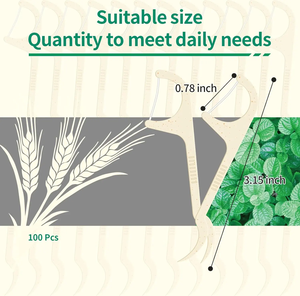 100% biyobozunur ağız bakımı Set organik mısır nişastası serin nane diş seçtikleri bambu kömür kaliteli kutulu doğal Pick - Product Image 5