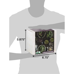 Kit di coltivazione da cucina fai da te per interni lattuga verde pianta per bambini erba di avviamento da giardino Kit di strumenti per spinaci Non ogm cavolo rosso lattuga - Product Image 3