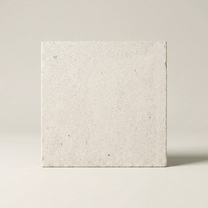 Piastrella in Pietra Naturale Calcare Bianco a Grana Fine 10x10 - Product Image 1