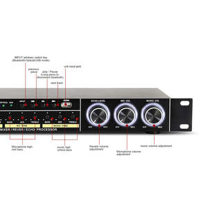 OEM-procesador de efectos de Audio Digital REV3900, dispositivo profesional con 2 micrófonos de mano UHF, PARA <span class=keywords><strong>Karaoke</strong></span> y conciertos - Product Image 4
