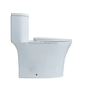Inodoro Ada Elongated Ceramic Siphonic 1 Piece Toilet Wc Sanitary Ware S-trap Water Closet Bathroom Toilet Bowl Set