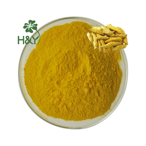 Extracto de cúrcuma de alta calidad, curcumina en polvo, curcumina 2.5% 5%, gránulos 95% - Product Image 1