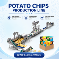 2t/u Industriële productielijn voor aardappelchips & diepvriesfrieten op maat, PLC-gestuurd, CE ISO gecertificeerd, 1 jaar garantie