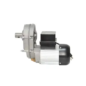 Aoer Single Phase Electric Low RPM High Torque AC Motor
