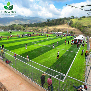 Tappeto Erboso Artificiale ad Alta Densità Linwoo per Esterni, Ignifugo, <span class=keywords><strong>Erba</strong></span> Sintetica per Campi da Calcio e Campi Sportivi - Product Image 1