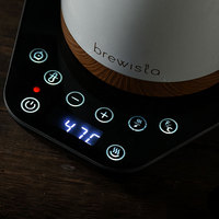 Bouilloire à café en acier inoxydable Brewista à bec de cygne de 600 ml, prix d'usine