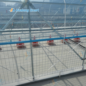 โรงเรือนเลี้ยงสัตว์ปีกเคลื่อนที่ขนาดใหญ่ ระบบเลี้ยงแบบหมุนเวียน ทนทาน รองรับสัตว์ได้มาก คุณภาพสูง เน้นความเป็นมิตรต่อสัตว์ ฟาร์มแบบปล่อยอิสระ ยั่งยืน - Product Image 6