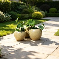 Pot Bunga Fiberglass Bulat Tahan UV, Tahan Air, Tahan Embun Beku, Dekorasi Luar Ruangan untuk Taman, Villa, Hotel