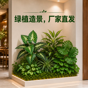 Plantes artificielles Série VXYZ 30cm-100cm Feuilles de Monstera Décoration paysagère intérieure et extérieure Style naturel Vase à fleurs en plastique - Product Image 1