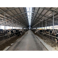 Acero H Beam Frame cabra casa granja cobertizos vaca para la venta