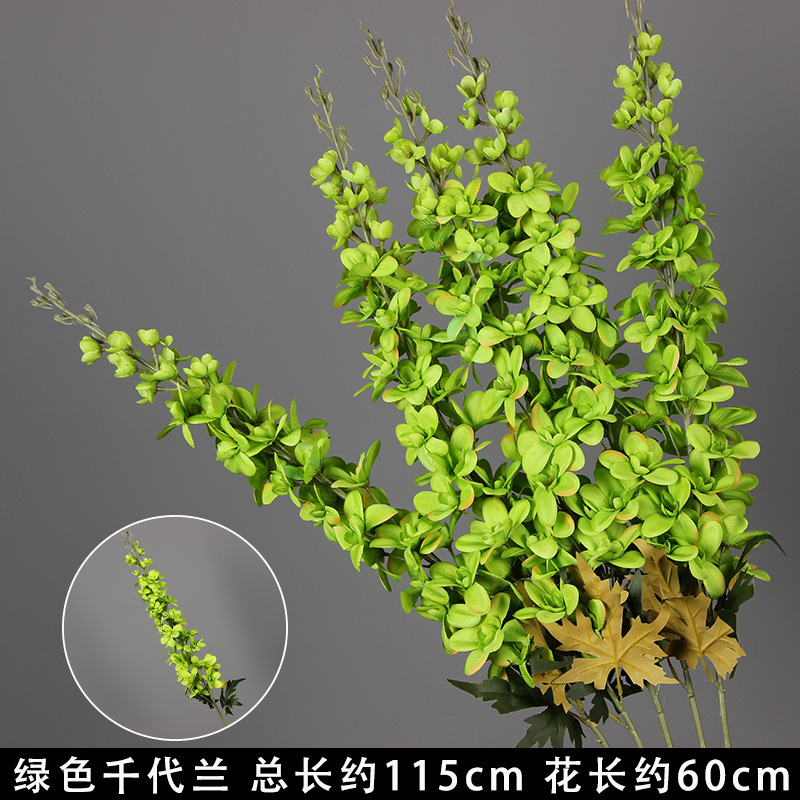 Green Chiyoran