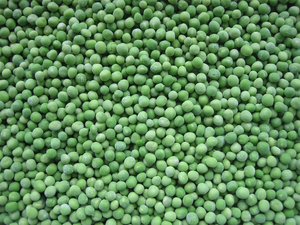 IQF haute qualité OGM surgelés pois <span class=keywords><strong>verts</strong></span> légumes <span class=keywords><strong>haricots</strong></span> HACCP certifié 10kg toute l'année - Product Image 4